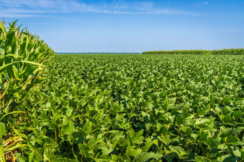 广州煜隆生物科技护肤品原料成分解析与功效应用指南