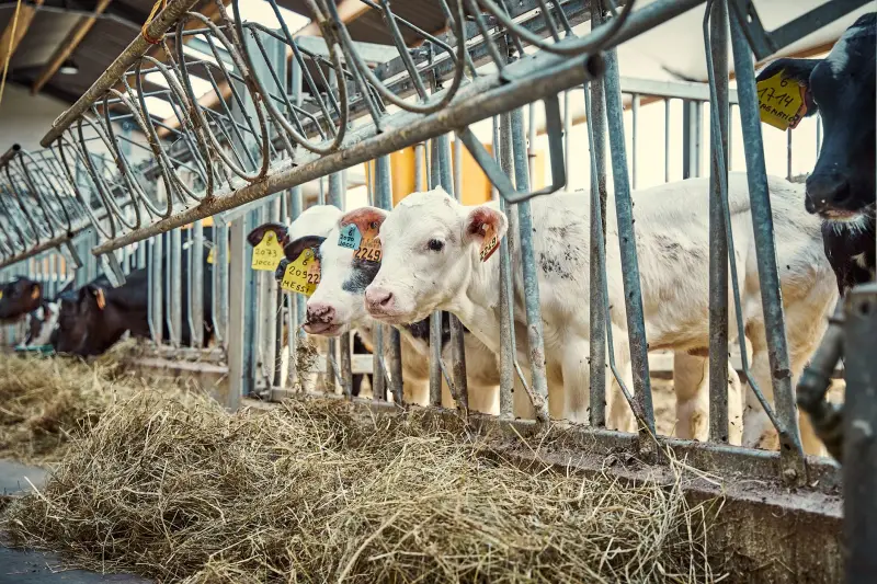 广州煜隆生物科技：化妆品代工企业的研发创新与质量管控实践