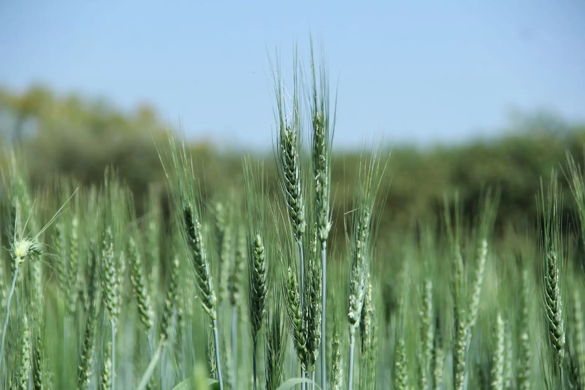 2025年广州生物科技化妆品研发生产新规要点解析