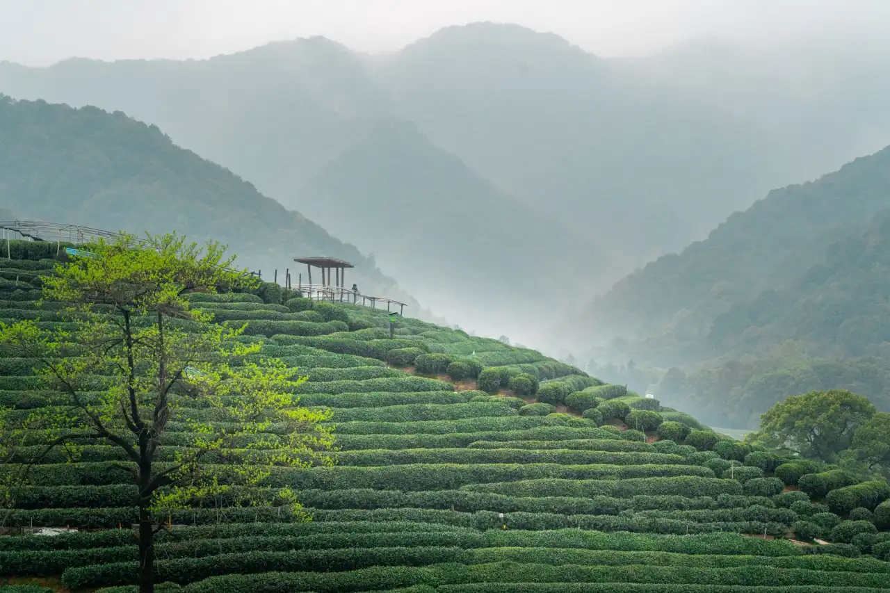 2025年生物科技护肤原料研发趋势与市场应用分析