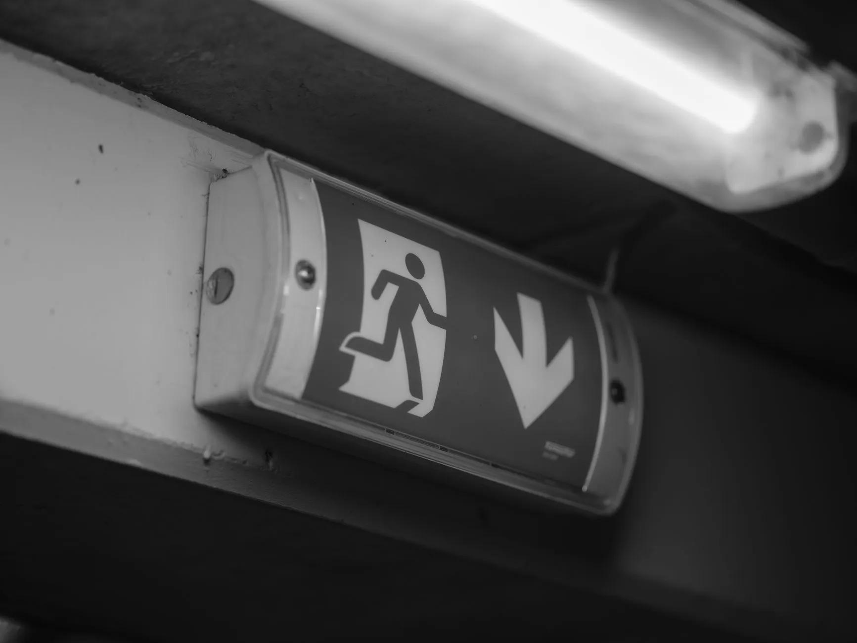 广州煜隆生物科技护肤品原料研发体系与技术创新解析