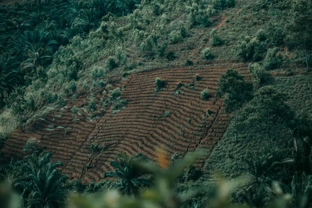 广州煜隆生物科技护肤品研发流程与质量控制体系解析