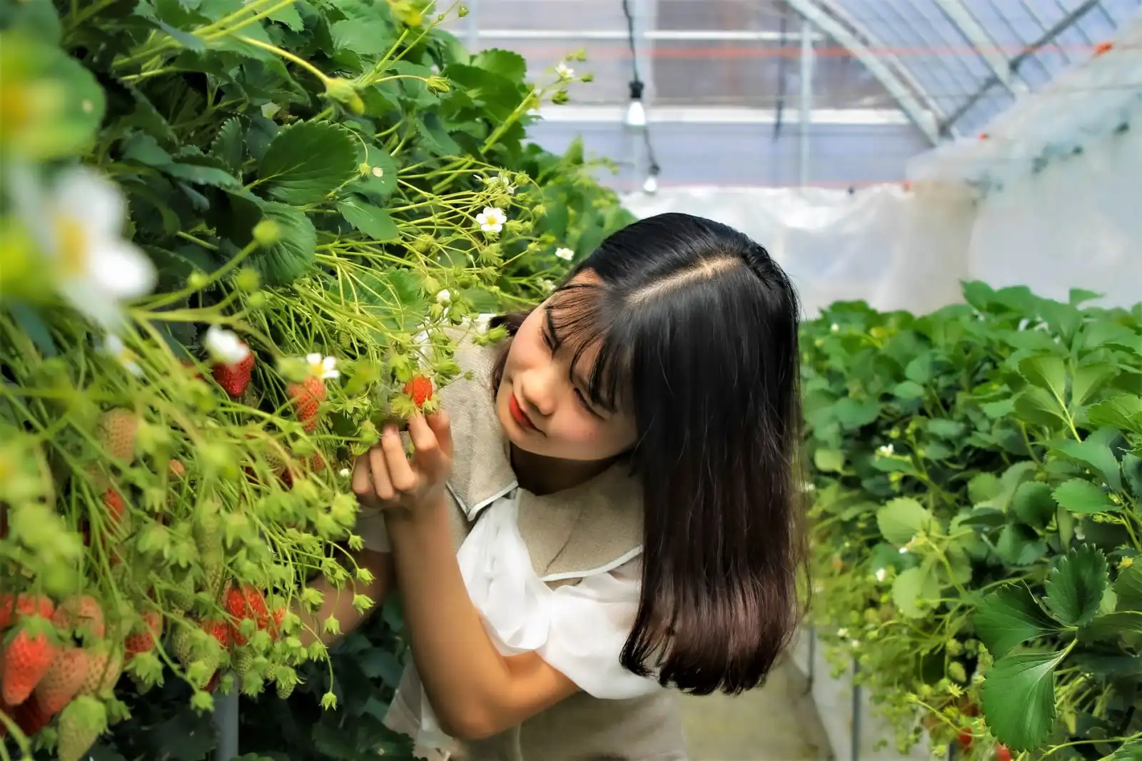 2025年生物科技化妆品原料创新趋势与合规应用分析