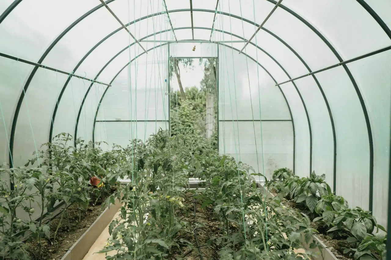 广州煜隆生物科技护肤品原料配方技术优势解析