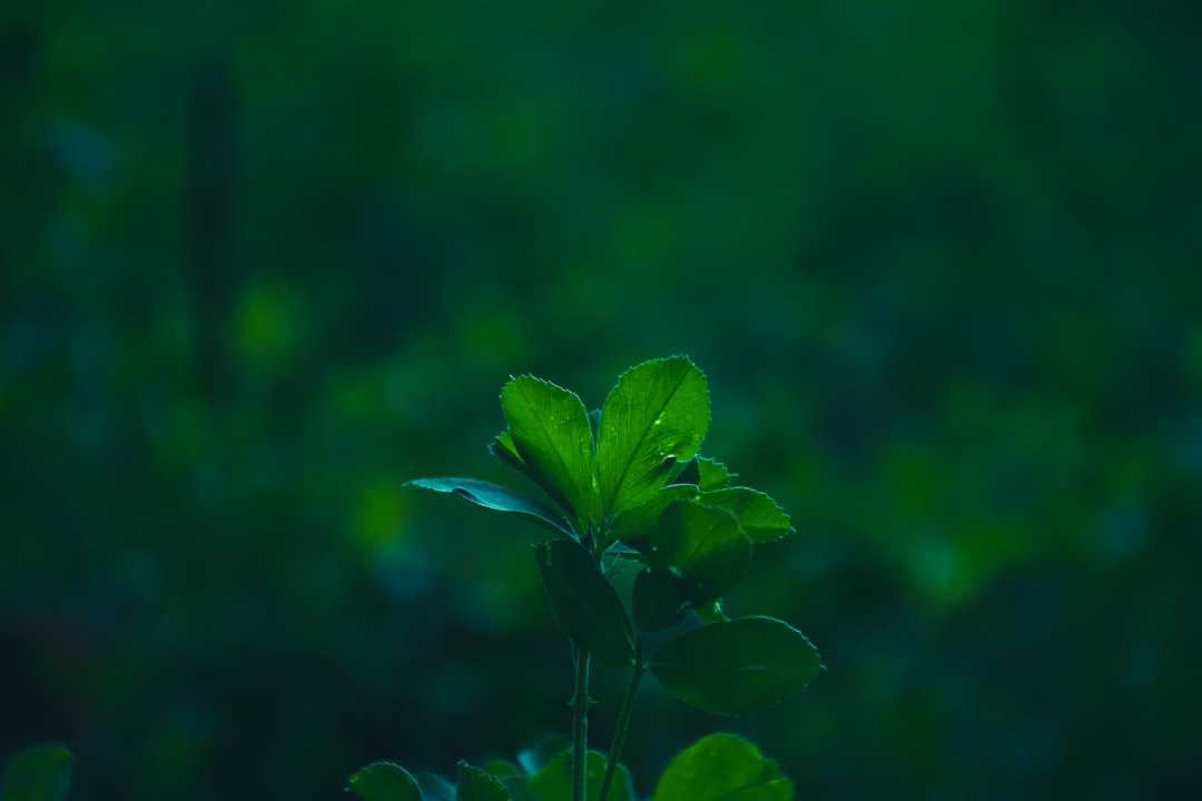 广州煜隆生物科技解析：生物科技赋能化妆品研发的核心路径
