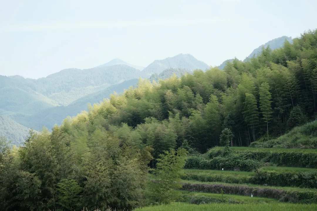 广州煜隆生物科技护肤品原料成分与功效解析