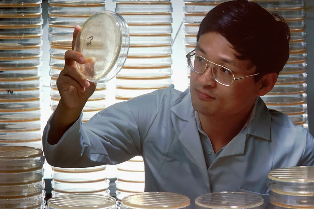 广州生物科技企业护肤品研发生产流程及质量控制要点分析