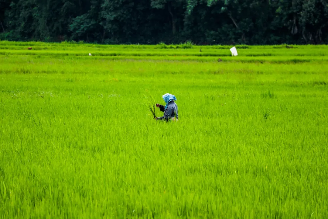 生物科技与天然植萃在日化产品中的协同应用案例