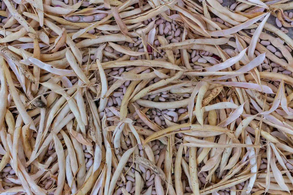 广州煜隆生物科技系列护肤产品成分对比与适用场景分析