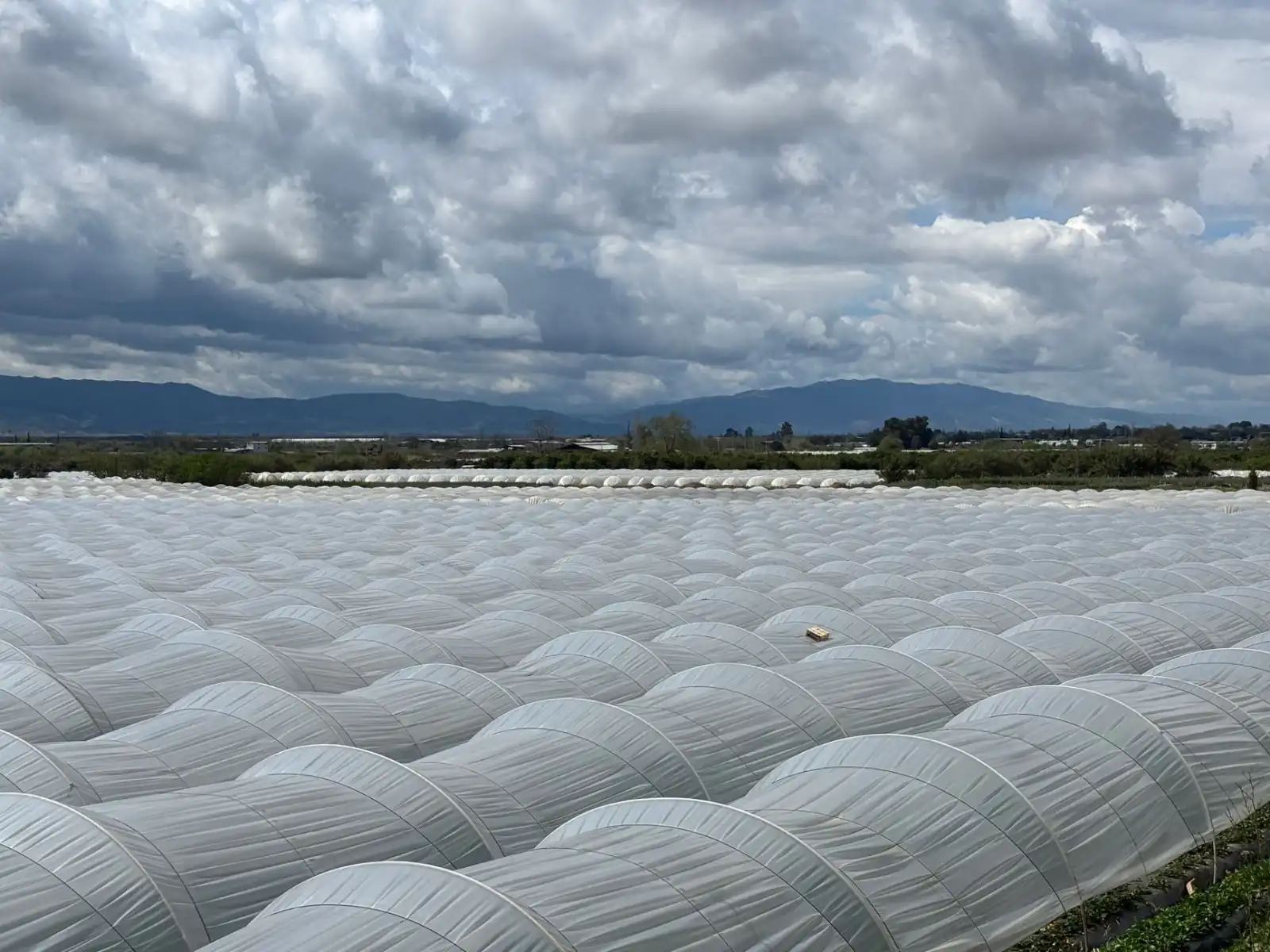 广州煜隆生物解读化妆品行业新版GMP合规要点