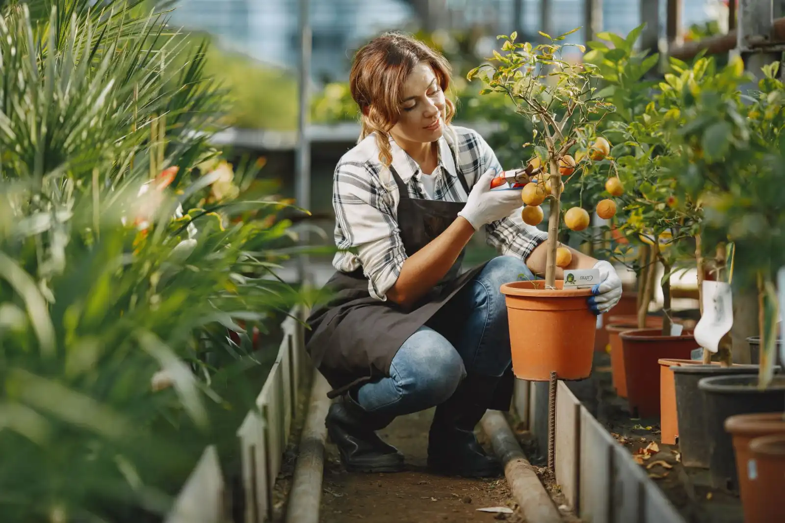 广州生物科技与化妆品行业2025年研发趋势分析
