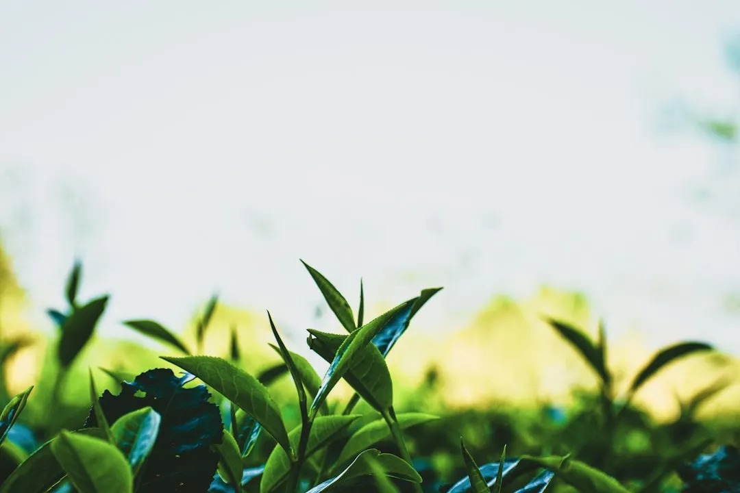 广州生物科技企业推动化妆品研发创新，煜隆生物分享行业技术趋势正文配图 1